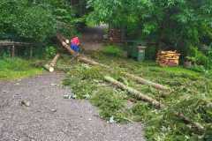 8409e819-7c89-410e-be42-0136704ead2a